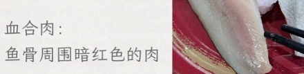 为什么说小肌鱼是日料店里「最歹毒」的鱼？