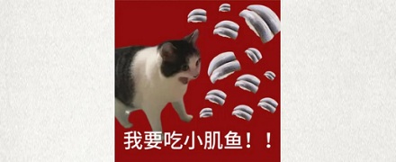 为什么说小肌鱼是日料店里「最歹毒」的鱼？