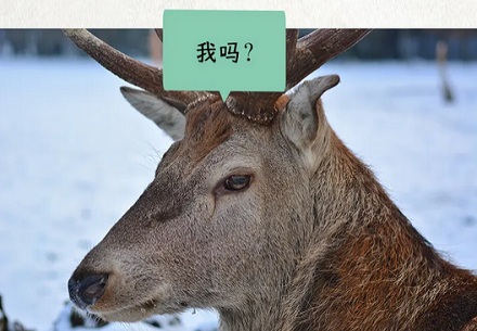 古人吃的「猩唇」是什么？是猩猩的嘴唇吗？