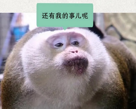 古人吃的「猩唇」是什么？是猩猩的嘴唇吗？