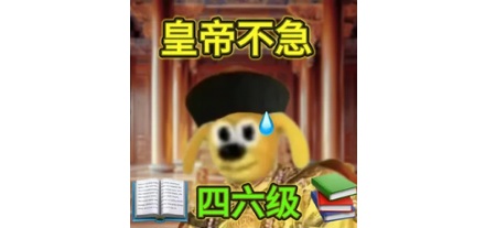 为什么大学只统考英语四六级？其他级别的不考？