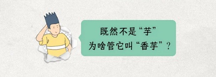 芋头明明是白色，为啥我们吃的「香芋味」都是紫色馅？