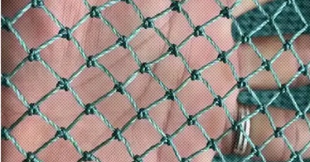 为什么打渔时要在网上抹辣酱？