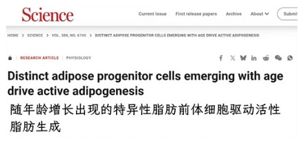 为什么说 35 岁是体重上的「一道坎」？