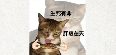 明明都是臭豆腐，为什么长沙的黑、绍兴的黄？