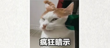 为啥梭子蟹鳃里密密麻麻的「寄生虫」，根本不用怕？