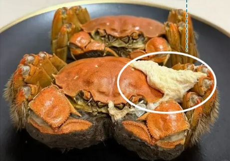 蒸熟的螃蟹冒出的「白色固体」是什么？能吃吗？