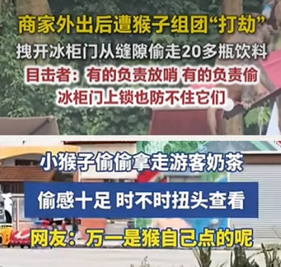 孙悟空为什么老喊沙僧看行李，荒山野岭的有人偷吗？