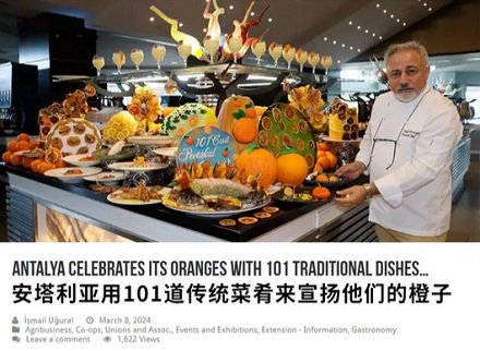 为什么北京烤鸭配橙子在士耳其是财富与奢华的象征？