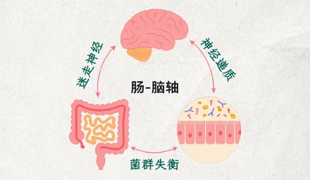 为什么把重度抑都患者的肠道菌群搬进小鼠的身体后，它也抑郁了？