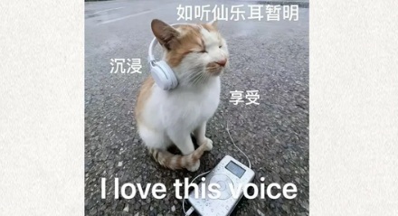 为什么清亮的钢琴会使甜味更甜，而低音的长号就使苦味更苦呢？