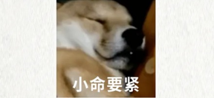 为什么美国的炸药上写着「整止食用」？