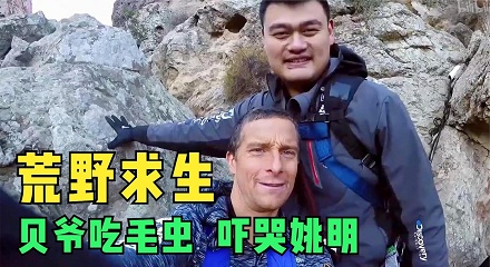 为什么生吃昆虫时千万不能吃头?