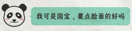为什么大熊猫的性别这么难分辨?