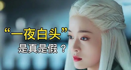 人真会一夜白头?