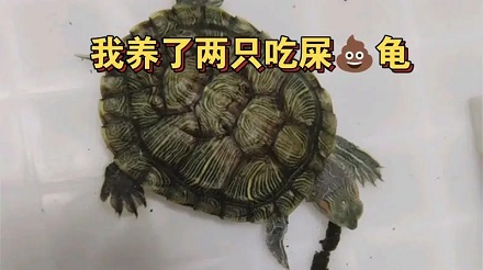 我拉屎的时候,有人非过来要吃我的屎,这犯法吗?