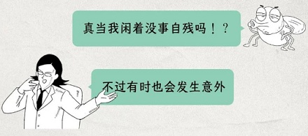 为什么苍蝇要把自己的头拧下来?是好玩吗?