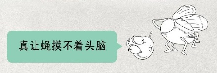 为什么苍蝇要把自己的头拧下来?是好玩吗?