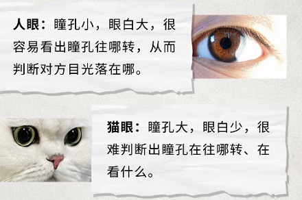 你为什么总感觉有人在偷看自己?