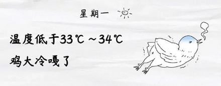 童年买的小鸡仔,为啥总死得那么快啊?