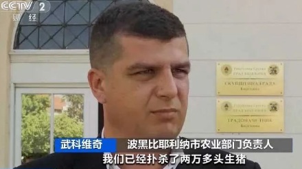 为什么在养猪场不能穿自己的内裤?