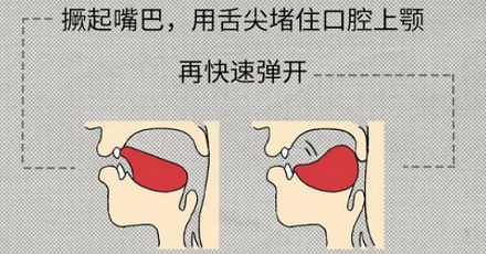 为什么「嘬嘬嘬」是全国统一的叫狗方式?