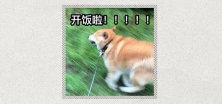 为什么「嘬嘬嘬」是全国统一的叫狗方式?