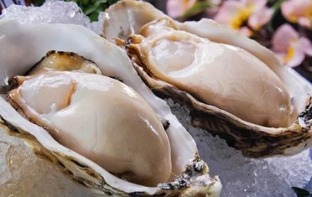为什么买回来的生蚝肉会变成蓝色?