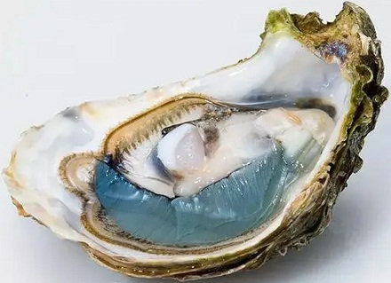 为什么买回来的生蚝肉会变成蓝色?