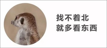 为啥有的人一出门就路痴,有的人到哪都是活地图?