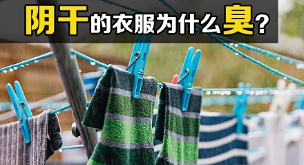 为啥阴干的衣服总有一股子馊味?