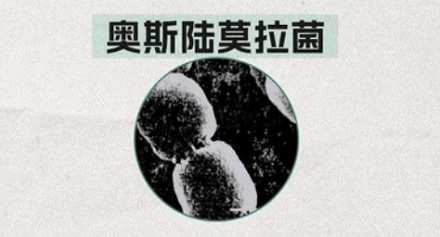 为啥阴干的衣服总有一股子馊味?