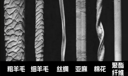 为啥阴干的衣服总有一股子馊味?