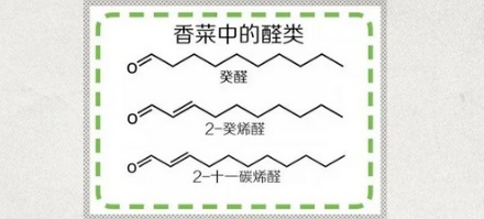 为什么香菜可以用来除尸臭?
