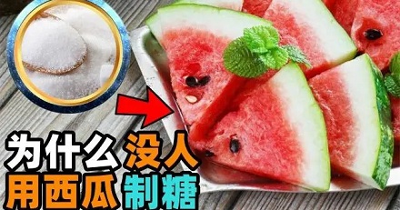 为什么西瓜这么甜,却不用它来制糖?