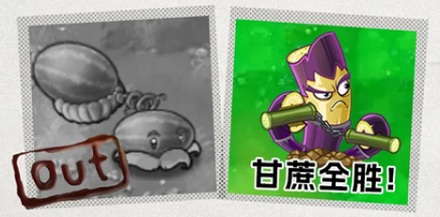 为什么西瓜这么甜,却不用它来制糖?