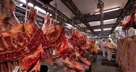 外国的猪肉为什么又骚又臭?