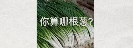不懂装懂为啥说是「装蒜」,「葱」和「姜」行不行?