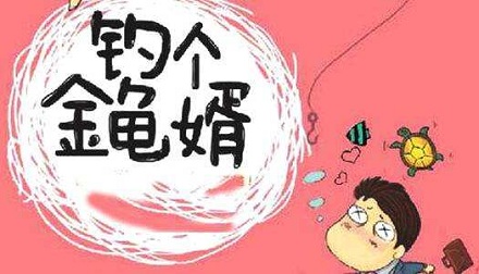 为什么有钱的女婿叫「金龟婿」?