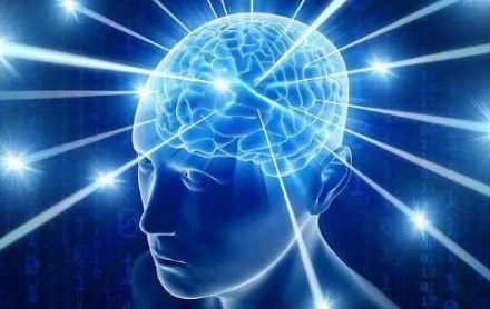 人到底有几种意识?