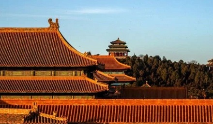 故宫的屋顶为什么没有一根杂草?