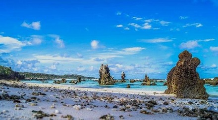 为什么瑙鲁需要进口土壤?