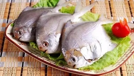 为什么海鱼的肉不咸?