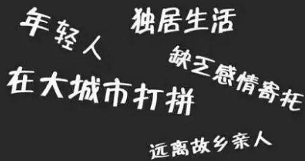 「空巢青年」是什么意思?