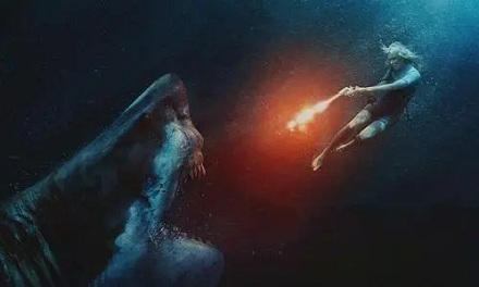 海上遇险遭鲨鱼该如何自卫?
