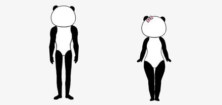 男生的腿比女生的更细?