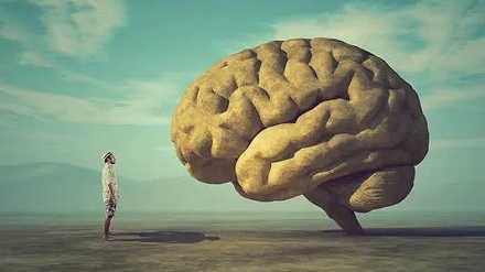 你的大脑可能是个骗子?