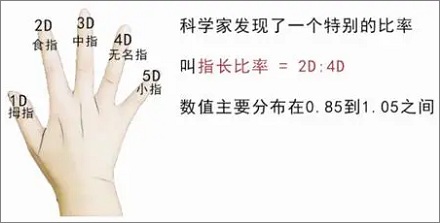 男朋友一定要找无名指长的?