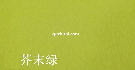 一大波让人「焦绿」的新名词!