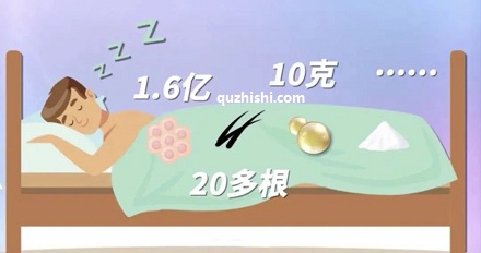 人睡过一晚的床会留下多少东西?
